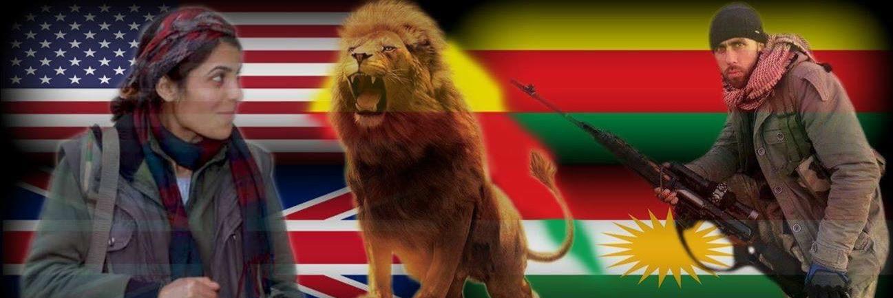 Liberty__Lions's profile banner image