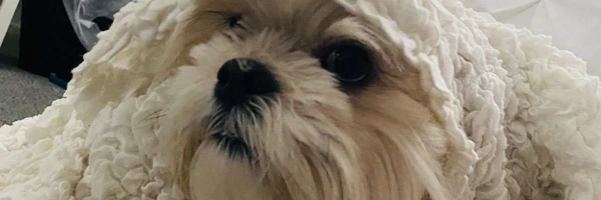 Clarabells1's profile banner image