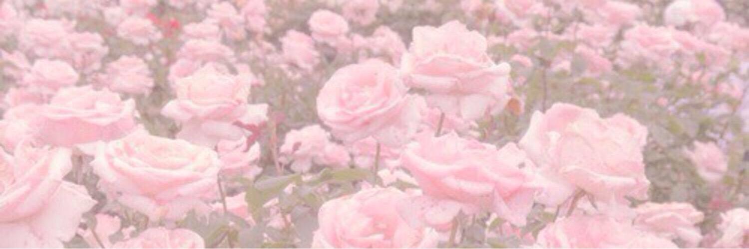 01290502_'s profile banner image