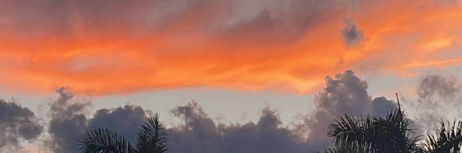 Christian Martin banner