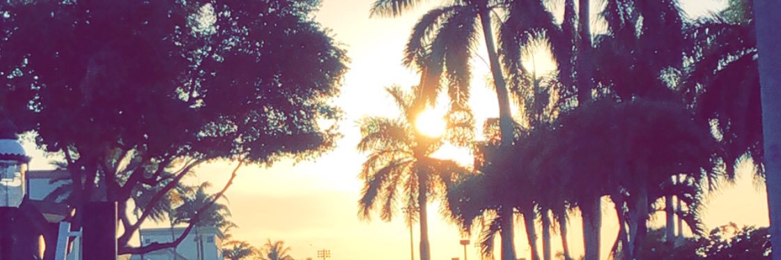 _SaraDolce_'s profile banner image