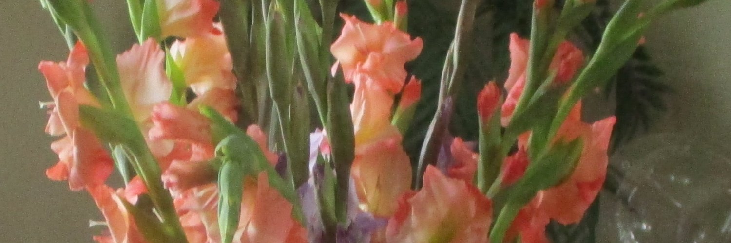 CHEERS! 🍻 🥂💙 banner