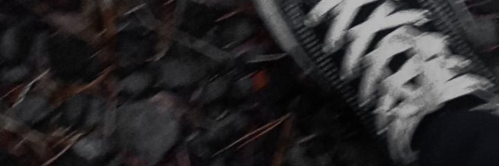 Silvi_btr's profile banner image