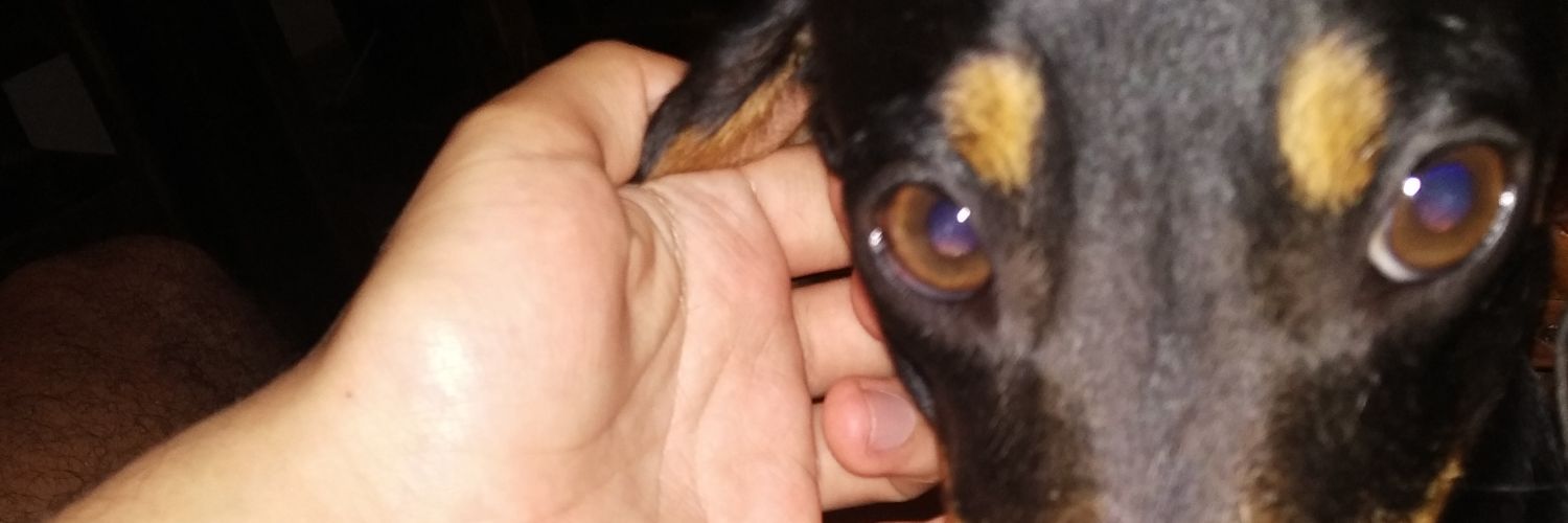 ramipintos12's profile banner image