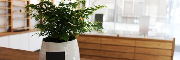 spectaclepdx Profile Banner