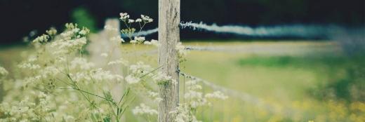 awda673's profile banner image