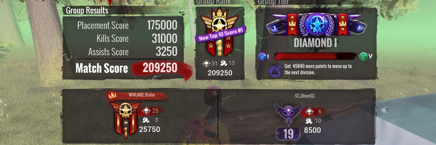 RislaxD's profile banner image