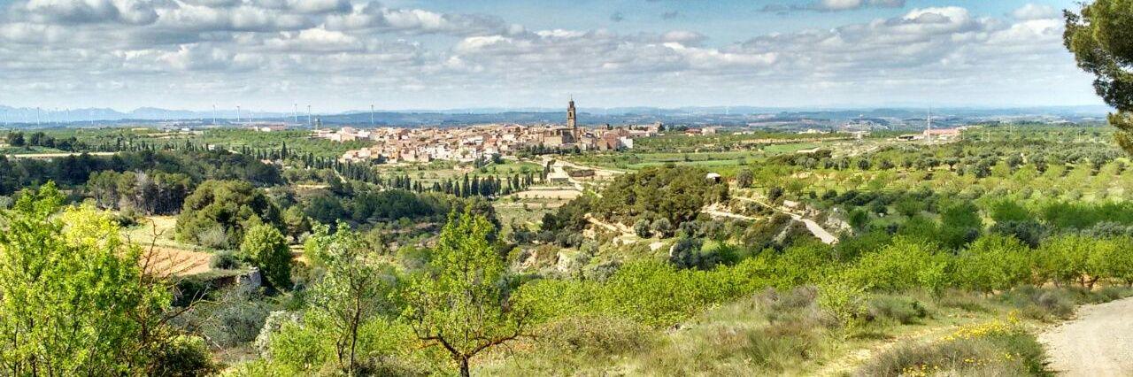 2a Cursa dels vins banner