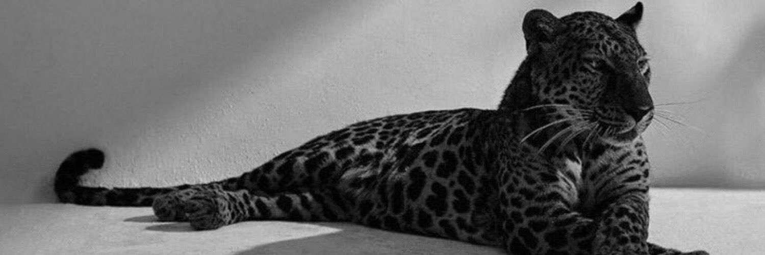 e____1990's profile banner image