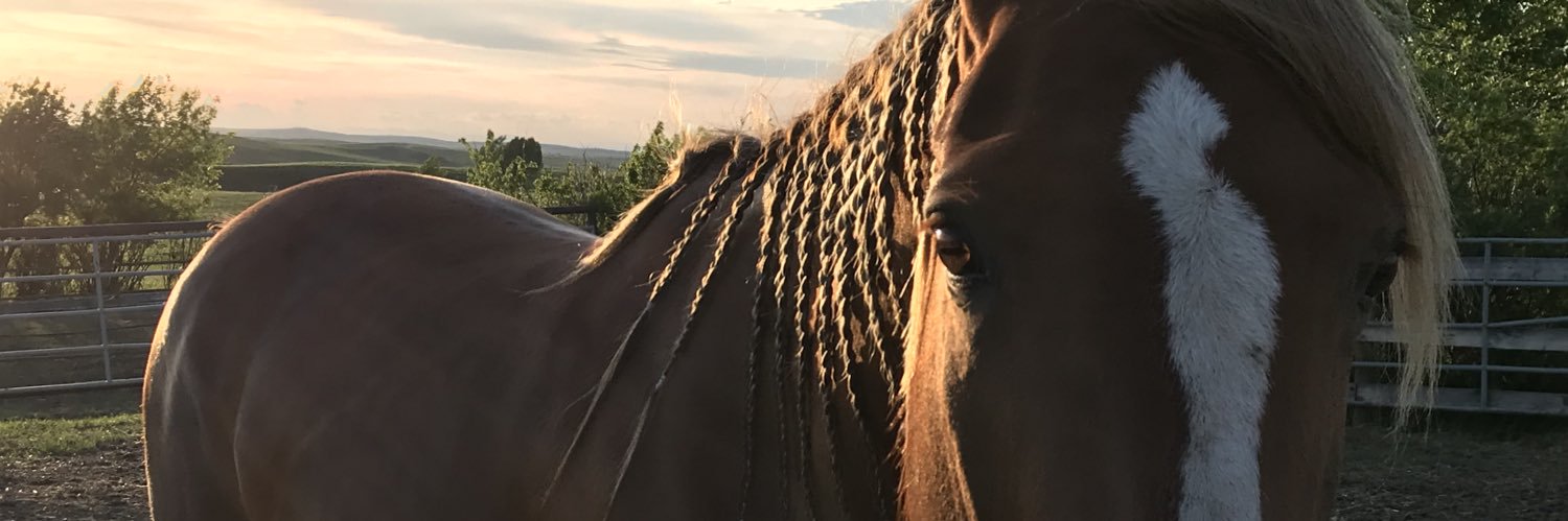 JCBeazer's profile banner image