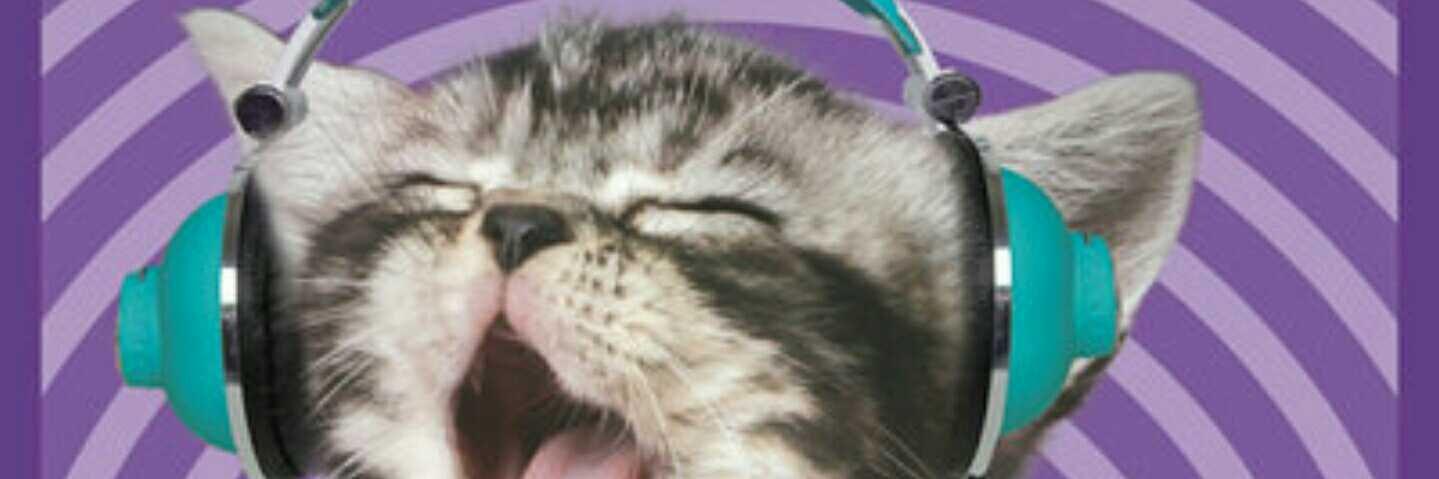jetcat_jesus's profile banner image