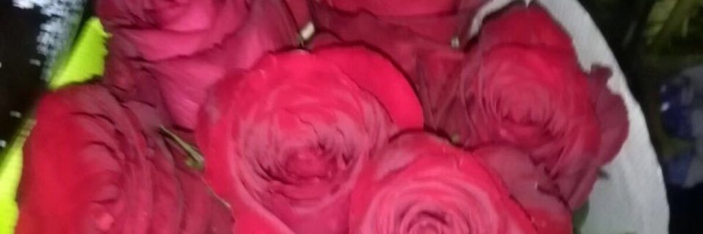 nanoushti2's profile banner image