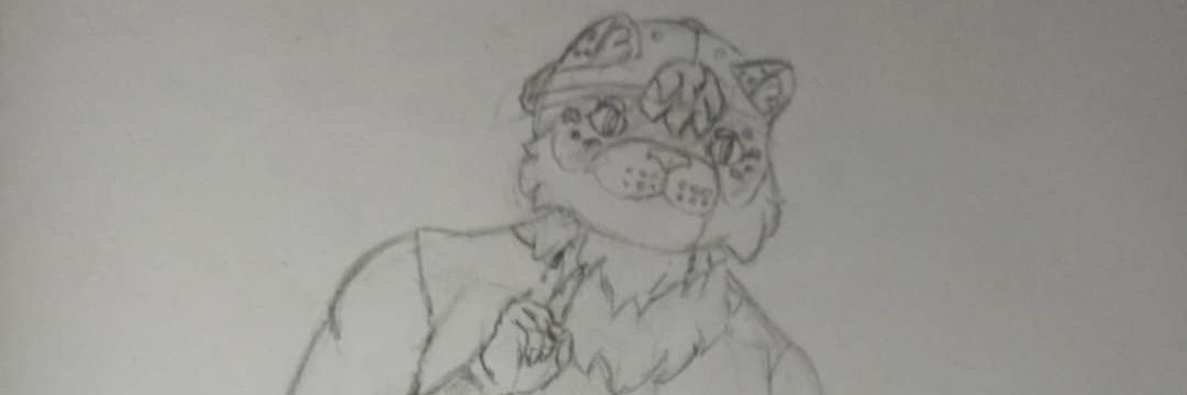 Wolfy405's profile banner image