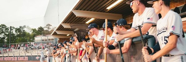 Oak Mountain Baseball Profile Banner