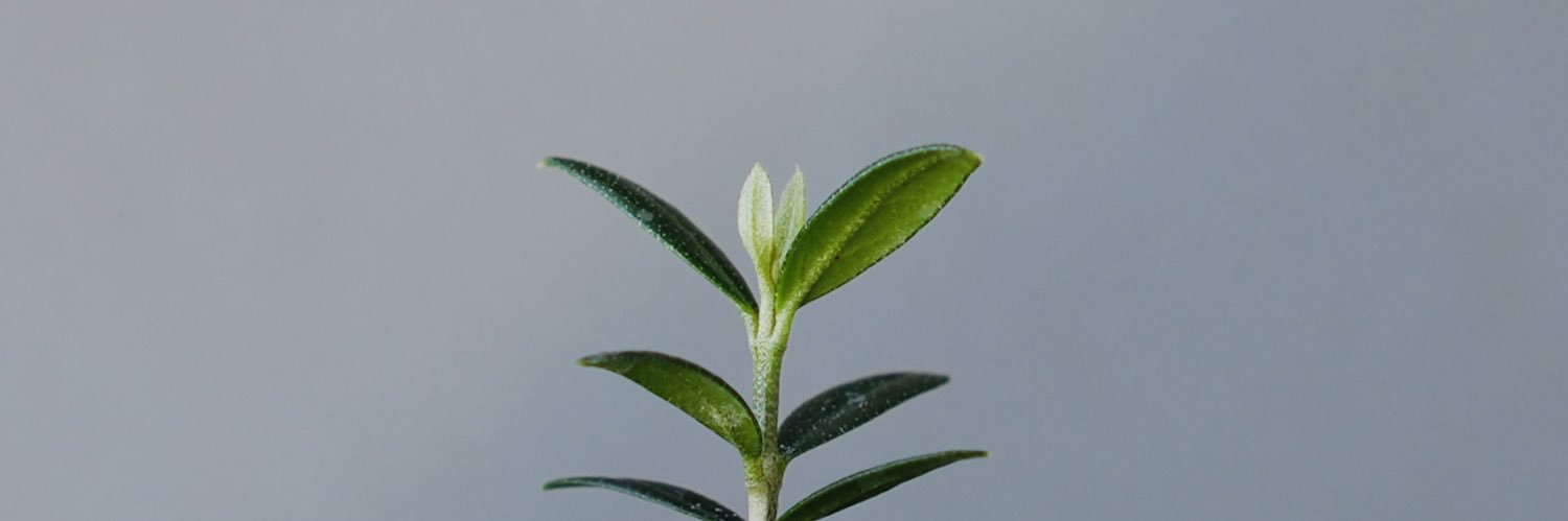 arijun_green's profile banner image