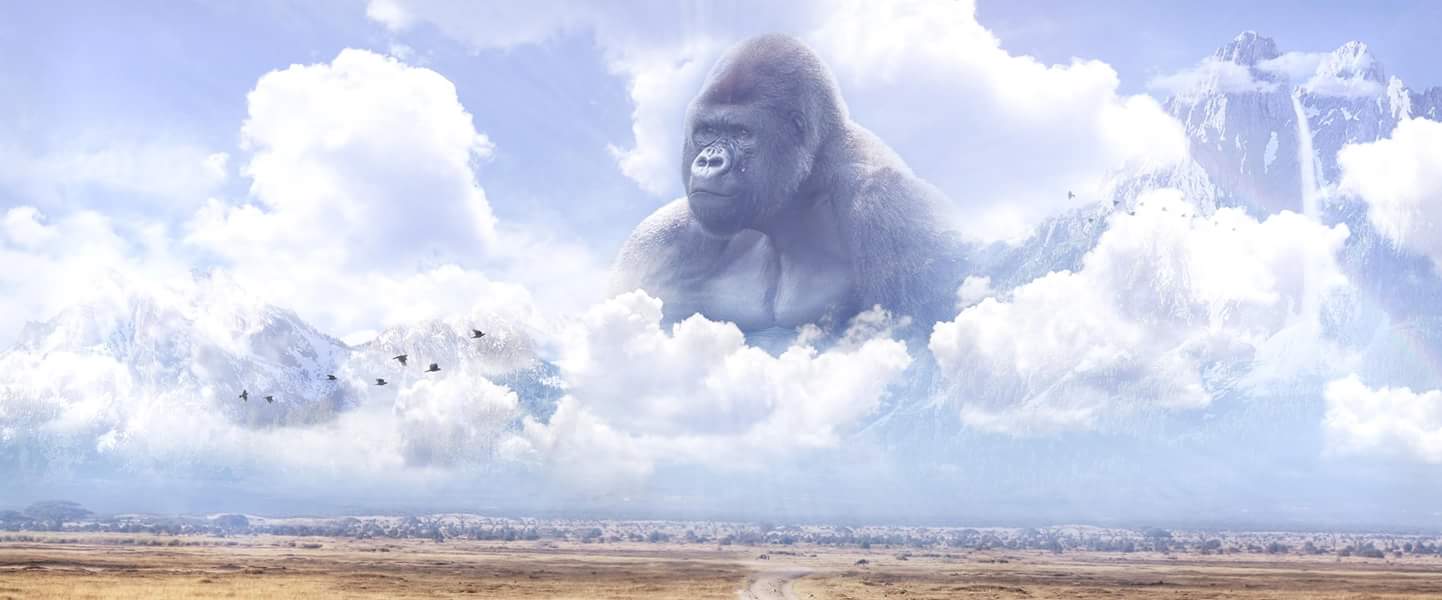 RaptorJesus0ff's profile banner image