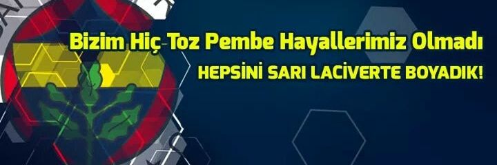 AlinA banner