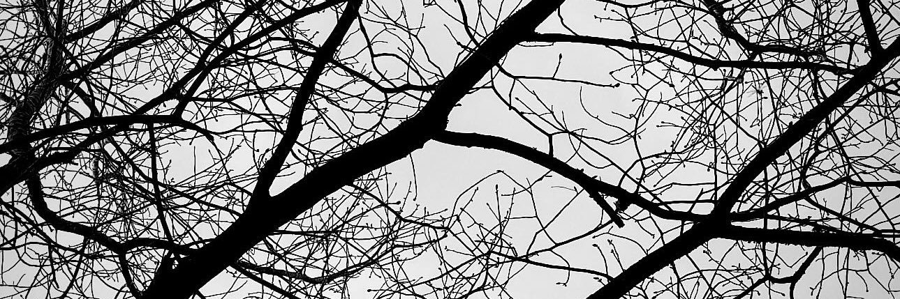 ClevisHarrison's profile banner image