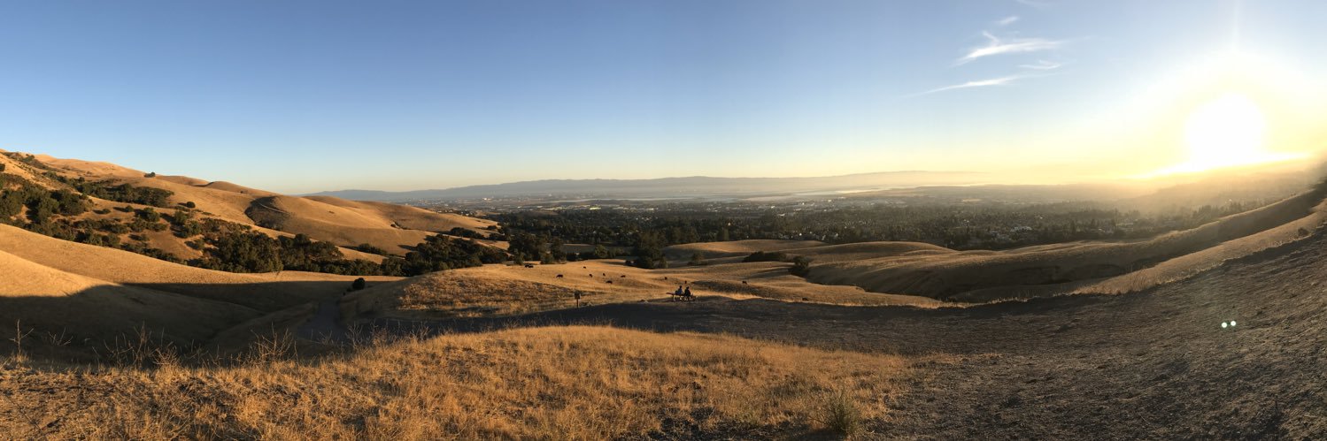 elleboogie007's profile banner image