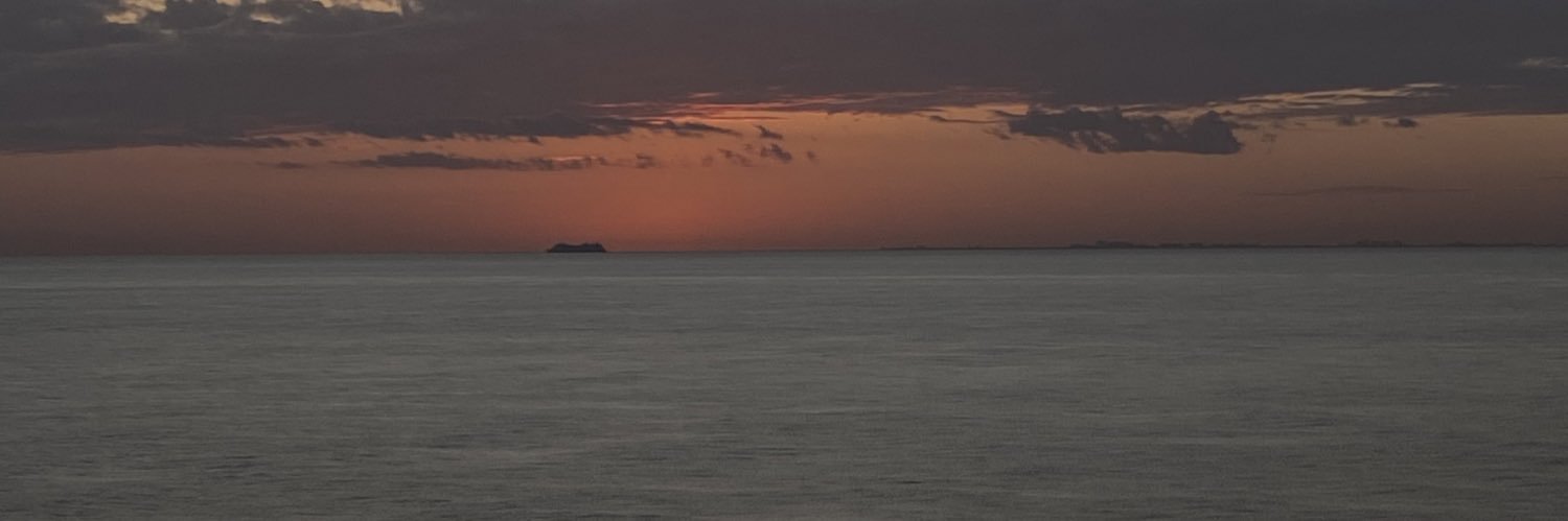 mariasaurush's profile banner image