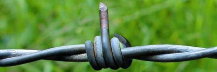 Freiheitsagent @ Satire und ein Hauch Sarkasmus banner