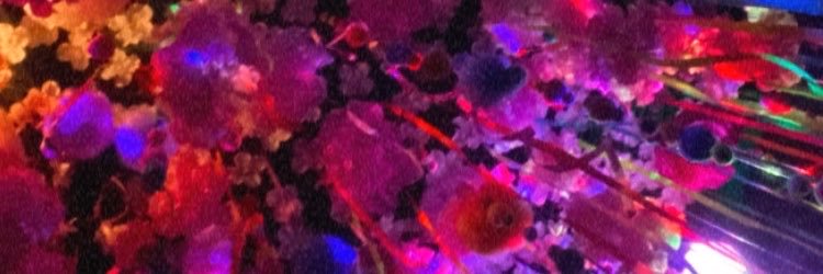 tuiterdalau's profile banner image