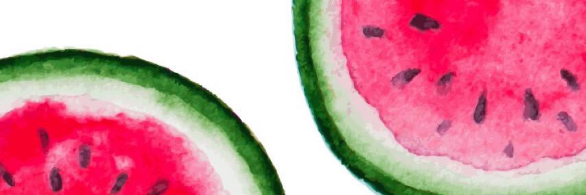CeliaVitis's profile banner image