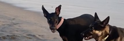 ddeathroach's profile banner image