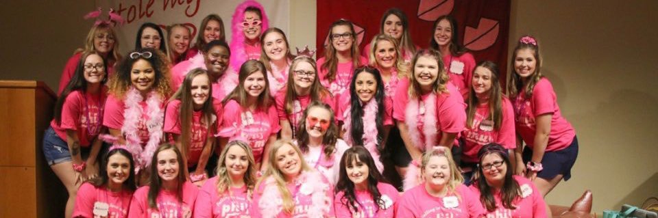 PHI MU ╳ EPSILON LAMBDA banner