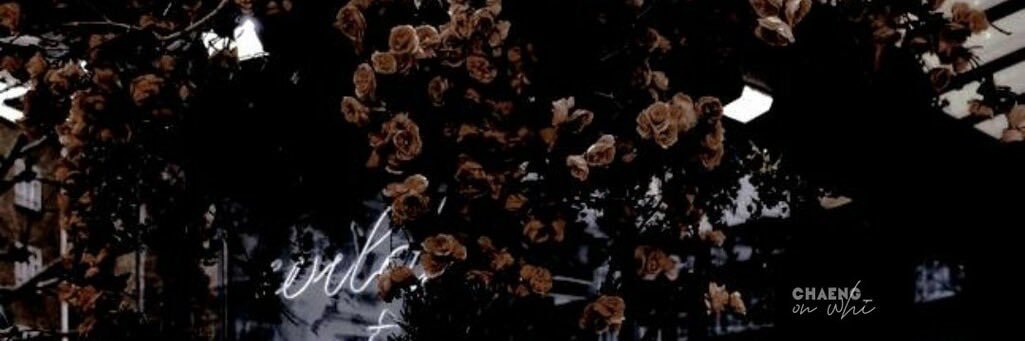 chloeaustin55's profile banner image