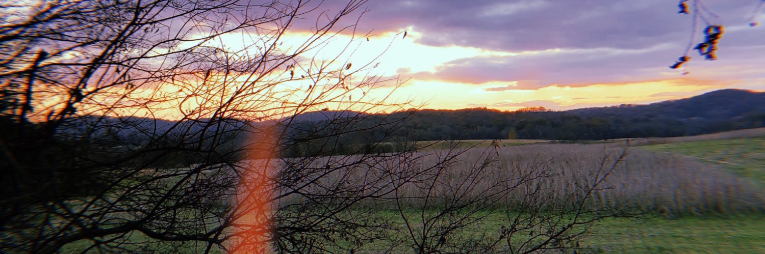 maggeray5's profile banner image
