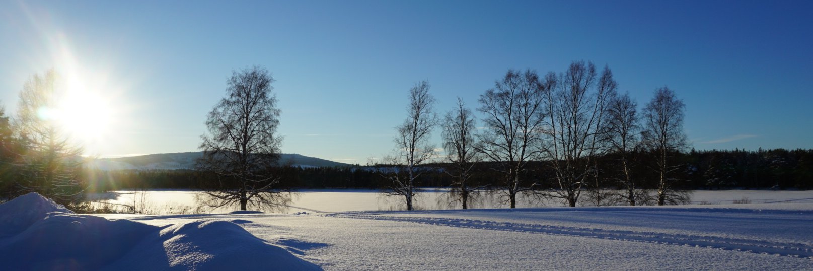 Feliciawesslen's profile banner image