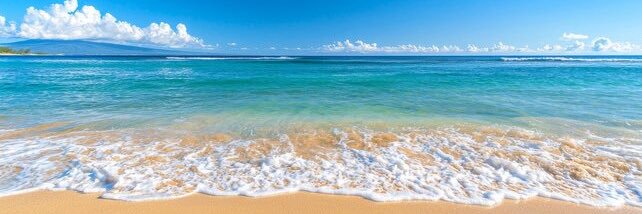 Lina 🇫🇷 banner