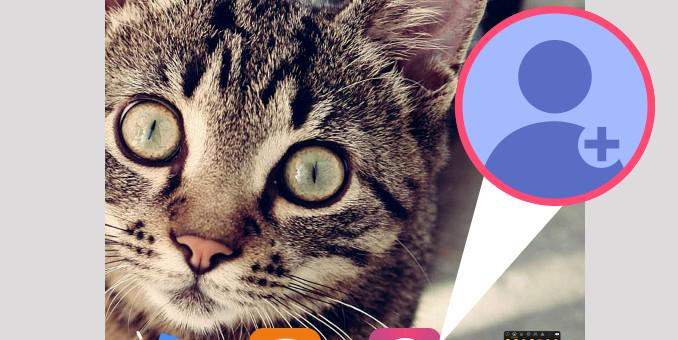 Benitocamelas banner