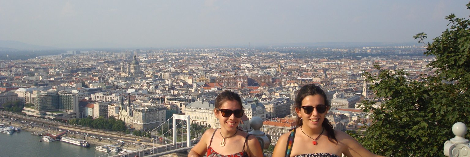 Carmen banner