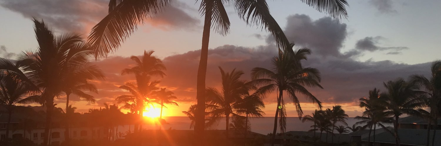 Amanda Silvey banner