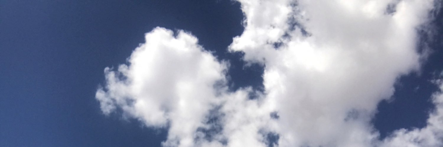 taniakarf's profile banner image