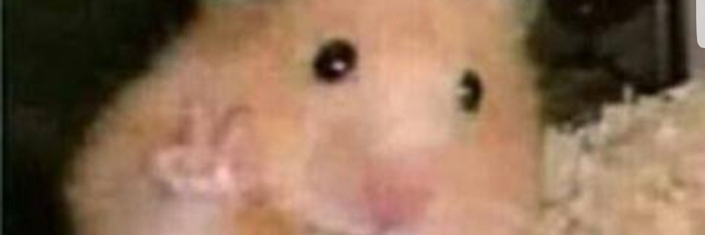 Victor_28k's profile banner image
