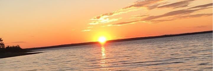 steveferriscog's profile banner image