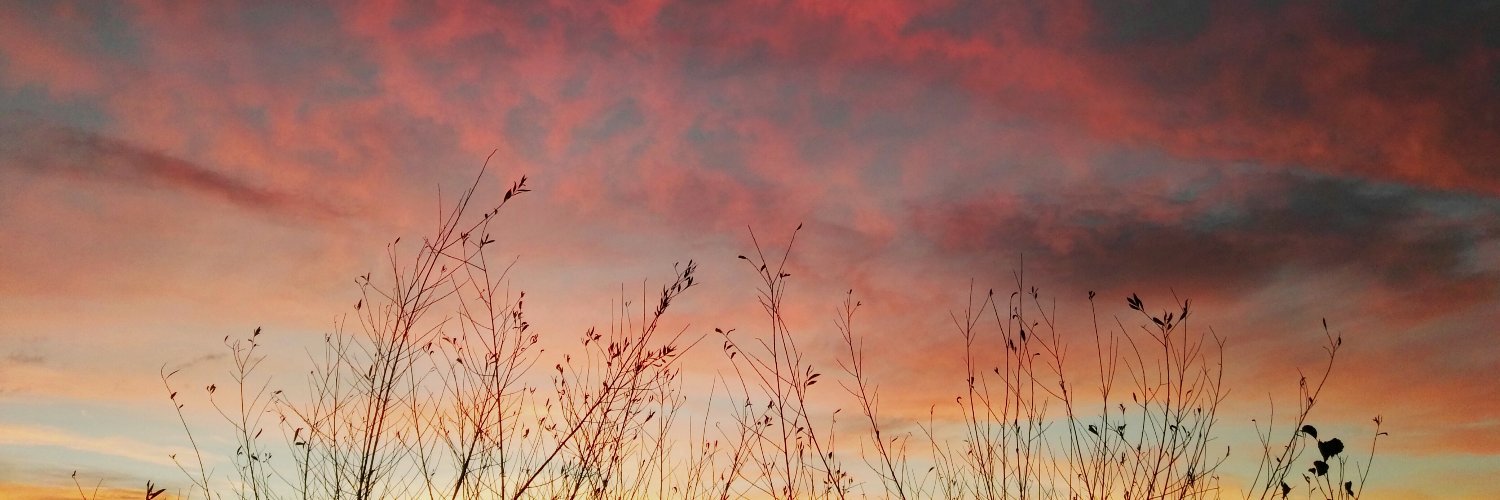 NeomaiBeats's profile banner image