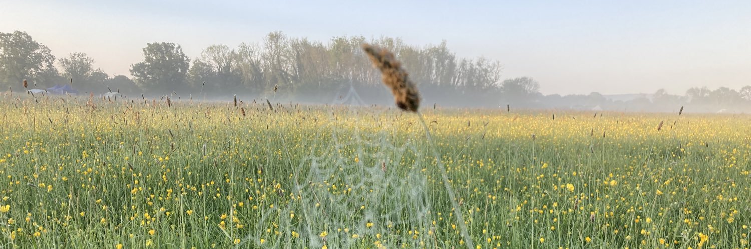 Fran Hamilton banner