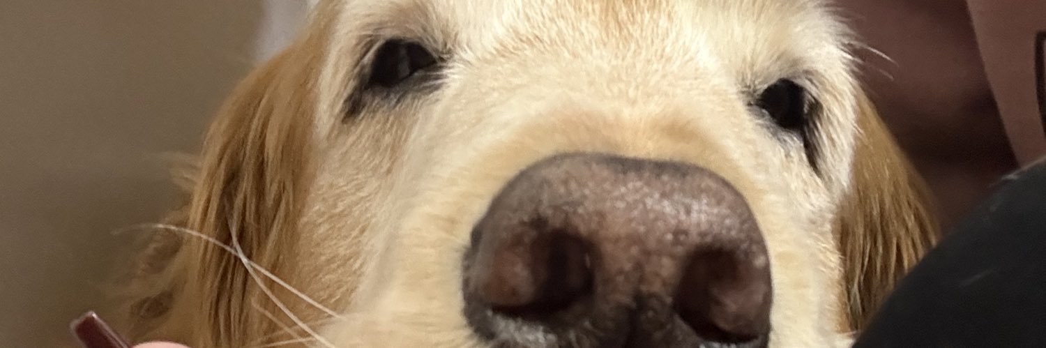 _fnnyf's profile banner image