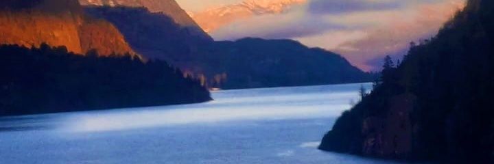 tomasdibiase's profile banner image
