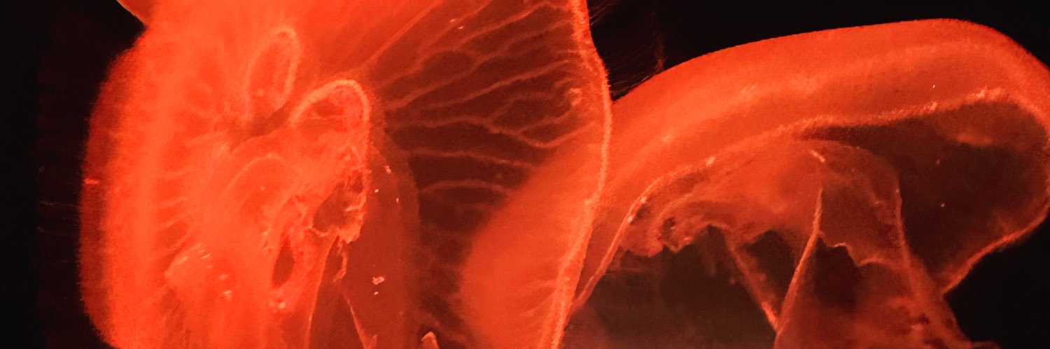 Fortiffany4's profile banner image