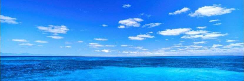 ariadnacortes_'s profile banner image