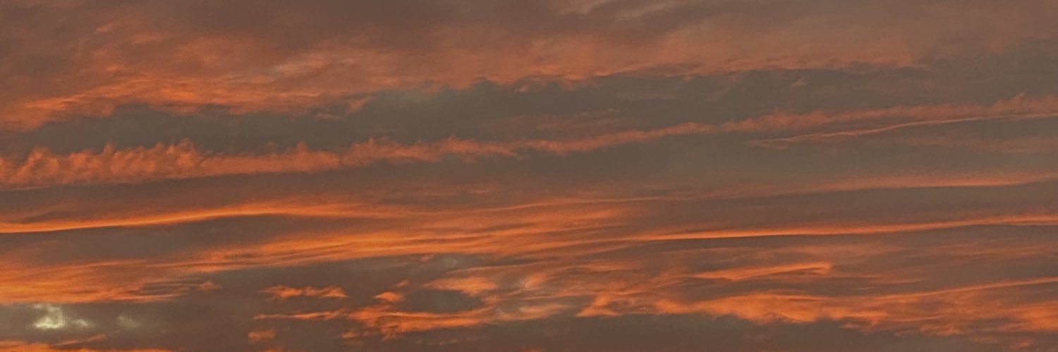 menarreguin's profile banner image