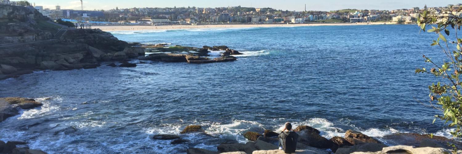 Nermine Assad banner