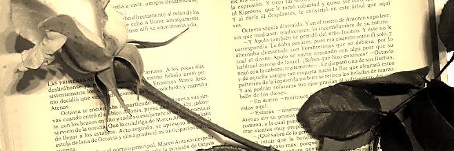 RebecaRamis's profile banner image