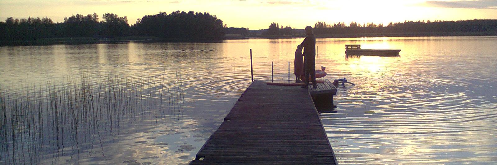 Minna Leppänen banner