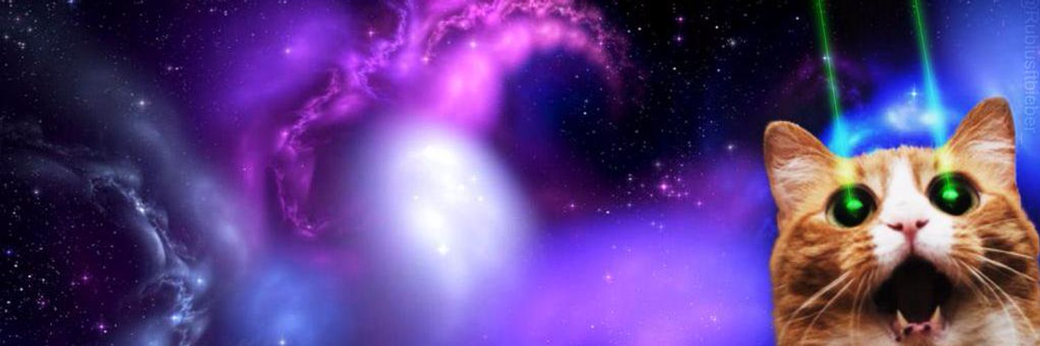 kellyanimals5's profile banner image